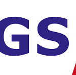 Logo VGS
